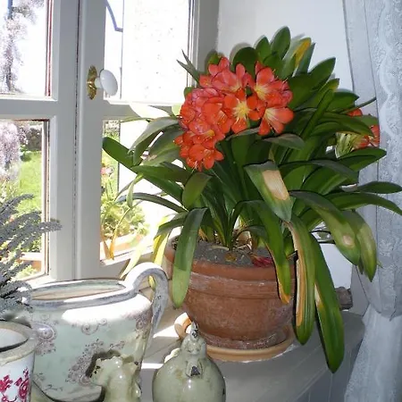 Au Bon Gre D'hugoline Bed & Breakfast Blanzac (Haute Loire)